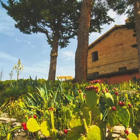 Agriturismo Rosetta * San Severino Marche