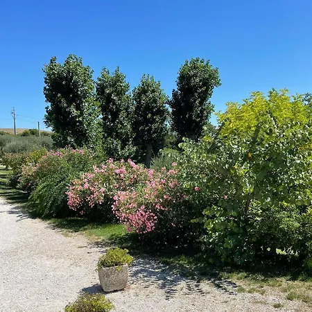 Agriturismo Rosetta Kır Evi San Severino Marche